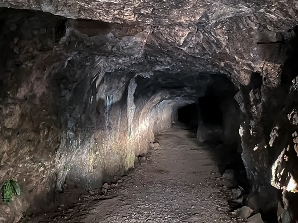 <span  class="uc_style_uc_tiles_grid_image_elementor_uc_items_attribute_title" style="color:#ffffff;">ansim-global-001</span>