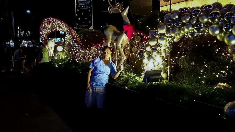 <span  class="uc_style_uc_tiles_grid_image_elementor_uc_items_attribute_title" style="color:#ffffff;">christmas-decoration-019</span>