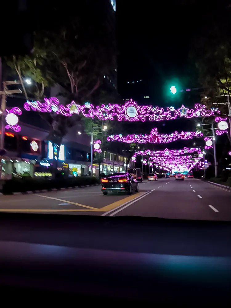 <span  class="uc_style_uc_tiles_grid_image_elementor_uc_items_attribute_title" style="color:#ffffff;">christmas-decoration-072</span>