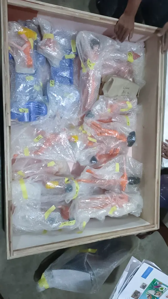 <span  class="uc_style_uc_tiles_grid_image_elementor_uc_items_attribute_title" style="color:#ffffff;">hermes-retail -window-display-061</span>