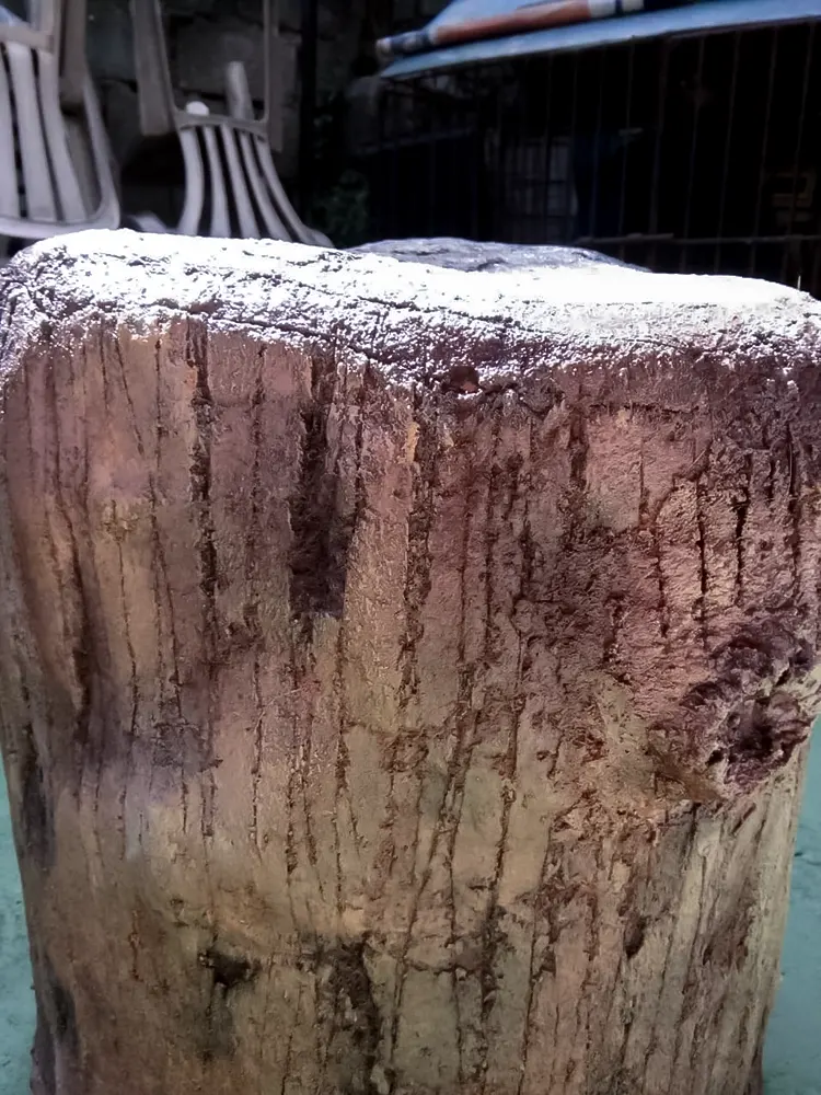 <span  class="uc_style_uc_tiles_grid_image_elementor_uc_items_attribute_title" style="color:#ffffff;">legoland-dubai-theme-park(182)</span>