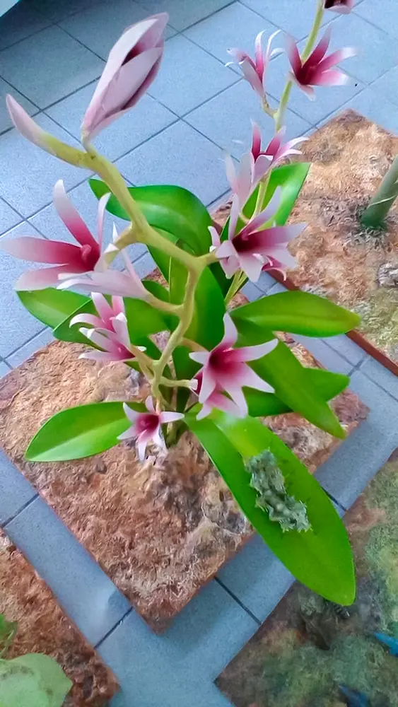 <span  class="uc_style_uc_tiles_grid_image_elementor_uc_items_attribute_title" style="color:#ffffff;">legoland-dubai-theme-park(222)</span>