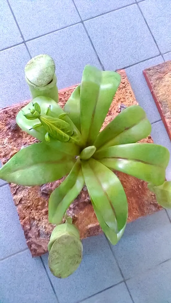 <span  class="uc_style_uc_tiles_grid_image_elementor_uc_items_attribute_title" style="color:#ffffff;">legoland-dubai-theme-park(223)</span>