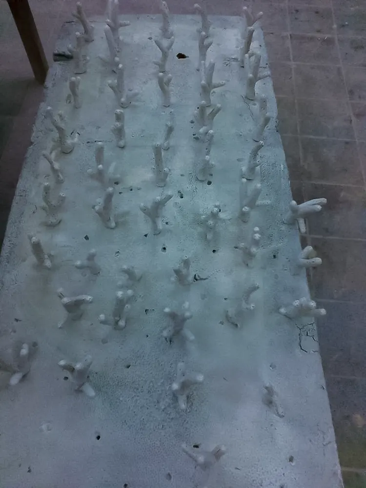 <span  class="uc_style_uc_tiles_grid_image_elementor_uc_items_attribute_title" style="color:#ffffff;">legoland-dubai-theme-park(235)</span>