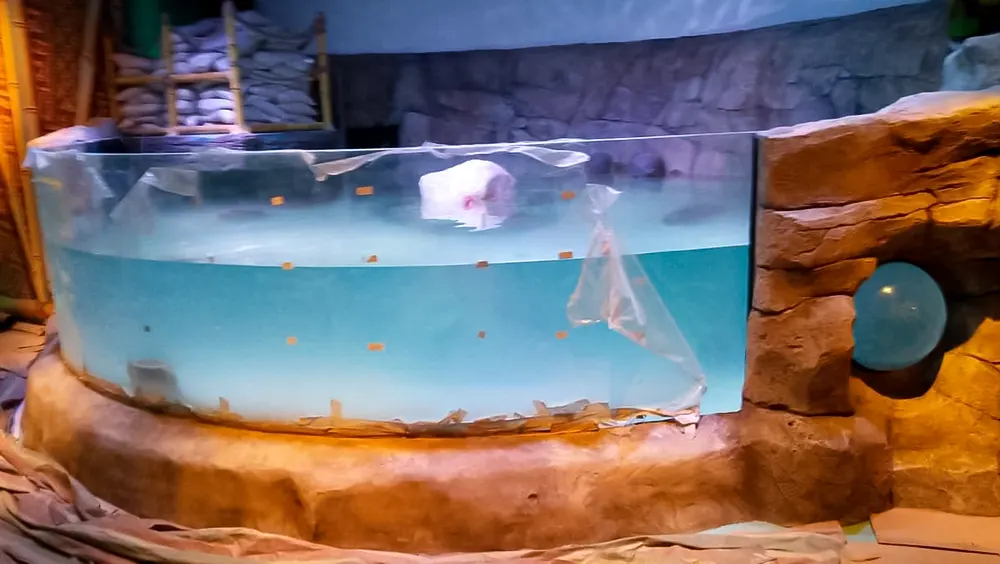 <span  class="uc_style_uc_tiles_grid_image_elementor_uc_items_attribute_title" style="color:#ffffff;">legoland-dubai-theme-park(256)</span>