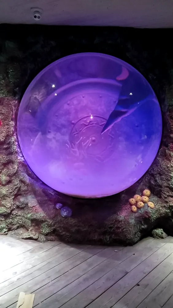 <span  class="uc_style_uc_tiles_grid_image_elementor_uc_items_attribute_title" style="color:#ffffff;">legoland-dubai-theme-park(257)</span>