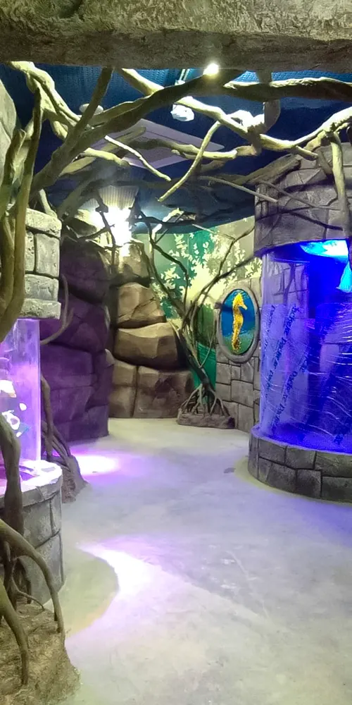 <span  class="uc_style_uc_tiles_grid_image_elementor_uc_items_attribute_title" style="color:#ffffff;">legoland-dubai-theme-park(266)</span>