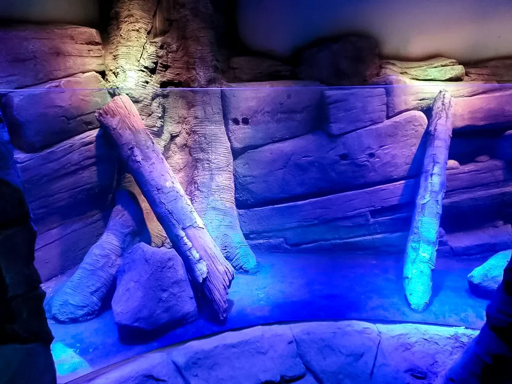 <span  class="uc_style_uc_tiles_grid_image_elementor_uc_items_attribute_title" style="color:#ffffff;">legoland-dubai-theme-park(267)</span>