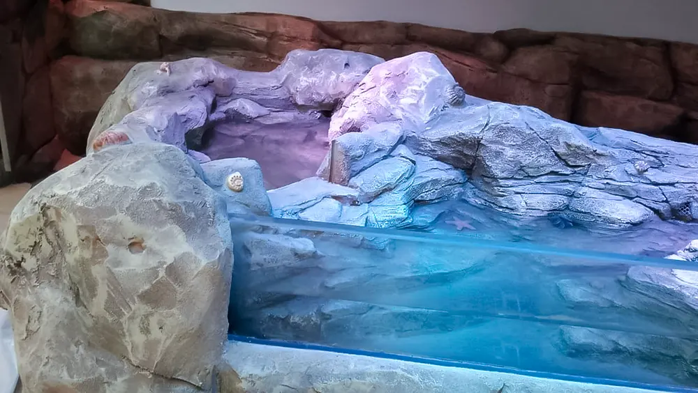 <span  class="uc_style_uc_tiles_grid_image_elementor_uc_items_attribute_title" style="color:#ffffff;">legoland-dubai-theme-park(277)</span>