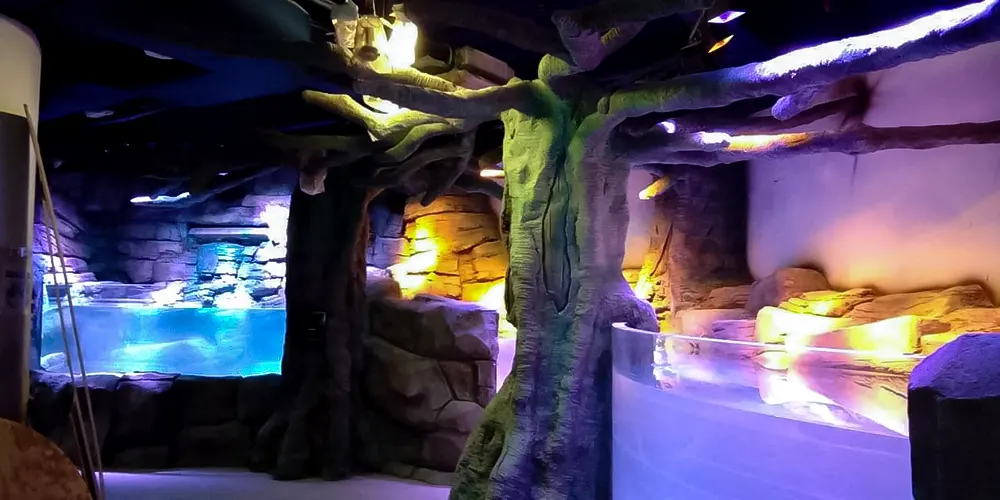 <span  class="uc_style_uc_tiles_grid_image_elementor_uc_items_attribute_title" style="color:#ffffff;">legoland-dubai-theme-park(285)</span>