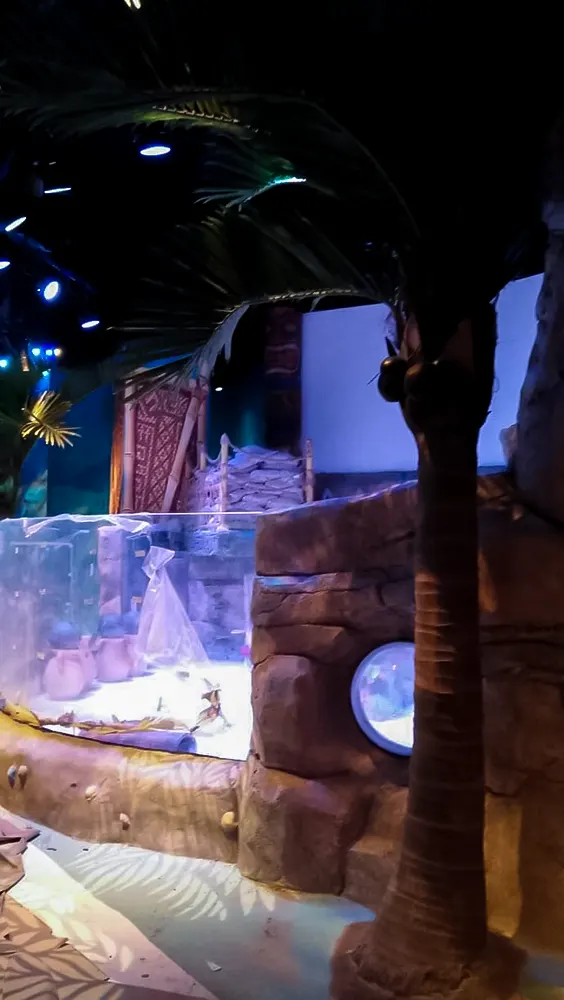 <span  class="uc_style_uc_tiles_grid_image_elementor_uc_items_attribute_title" style="color:#ffffff;">legoland-dubai-theme-park(295)</span>