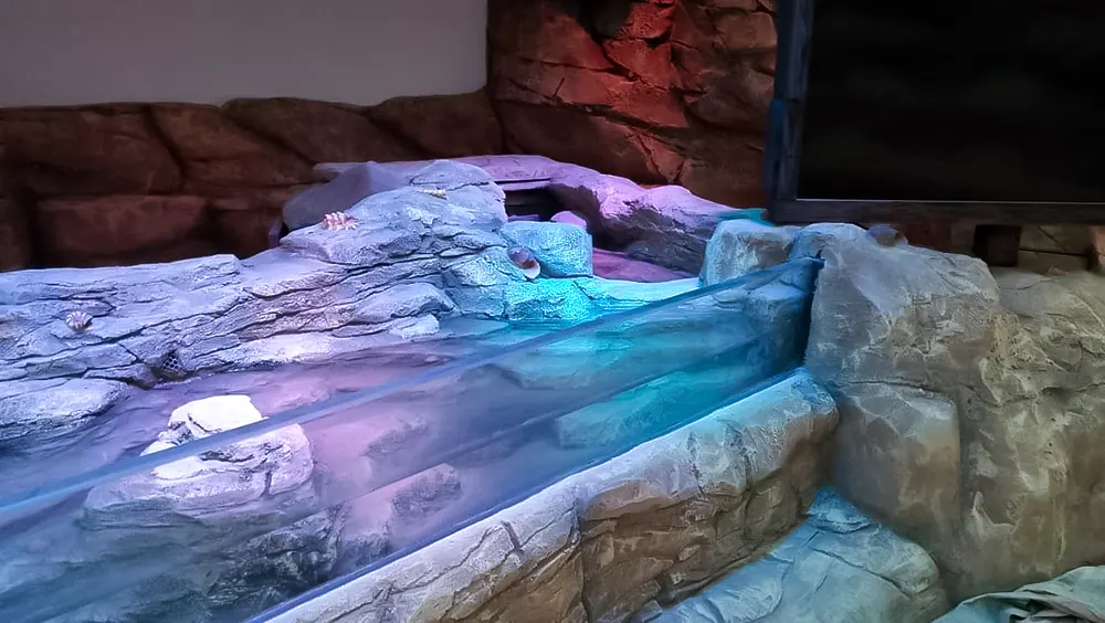 <span  class="uc_style_uc_tiles_grid_image_elementor_uc_items_attribute_title" style="color:#ffffff;">legoland-dubai-theme-park(311)</span>