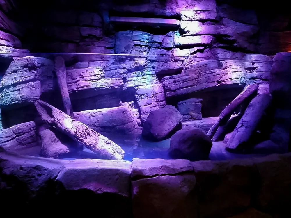 <span  class="uc_style_uc_tiles_grid_image_elementor_uc_items_attribute_title" style="color:#ffffff;">legoland-dubai-theme-park(330)</span>