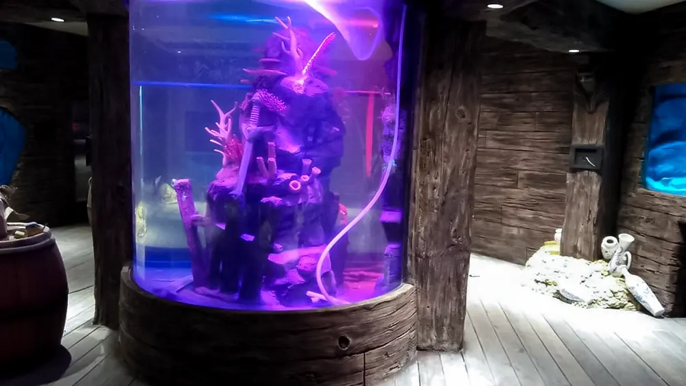 <span  class="uc_style_uc_tiles_grid_image_elementor_uc_items_attribute_title" style="color:#ffffff;">legoland-dubai-theme-park(338)</span>