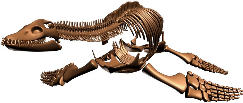 <span  class="uc_style_uc_tiles_grid_image_elementor_uc_items_attribute_title" style="color:#ffffff;">rsw-plesiosaur (2)</span>