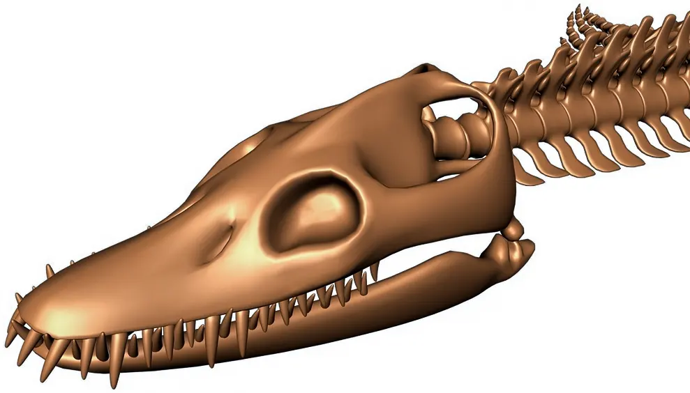 <span  class="uc_style_uc_tiles_grid_image_elementor_uc_items_attribute_title" style="color:#ffffff;">rsw-plesiosaur (4)</span>