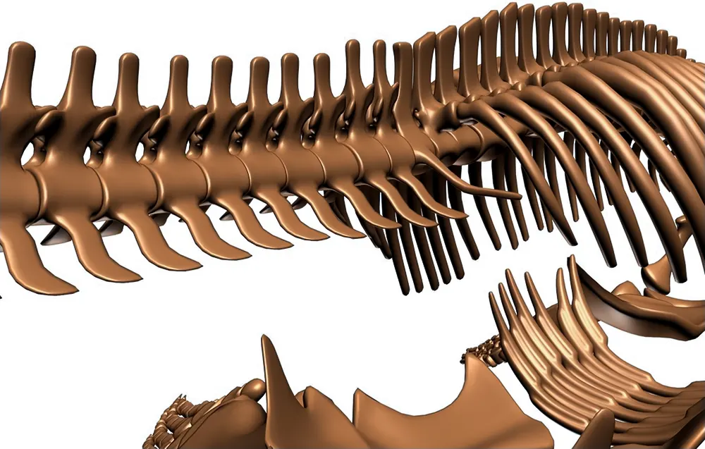 <span  class="uc_style_uc_tiles_grid_image_elementor_uc_items_attribute_title" style="color:#ffffff;">rsw-plesiosaur (5)</span>