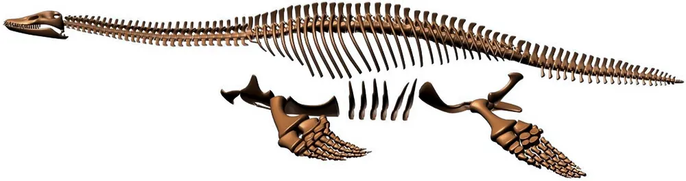 <span  class="uc_style_uc_tiles_grid_image_elementor_uc_items_attribute_title" style="color:#ffffff;">rsw-plesiosaur (6)</span>