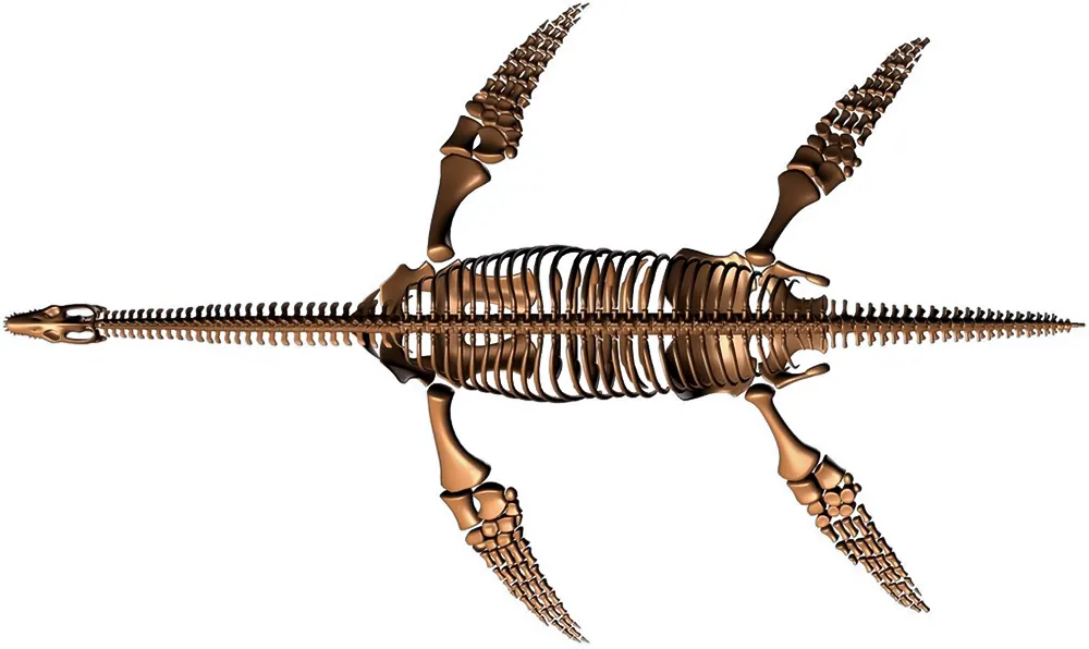 <span  class="uc_style_uc_tiles_grid_image_elementor_uc_items_attribute_title" style="color:#ffffff;">rsw-plesiosaur (7)</span>