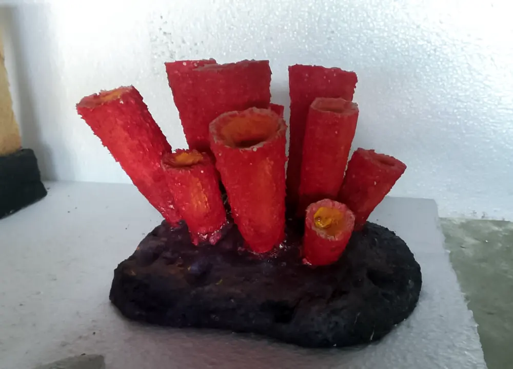 <span  class="uc_style_uc_tiles_grid_image_elementor_uc_items_attribute_title" style="color:#ffffff;">sea-life-themepark(12)</span>