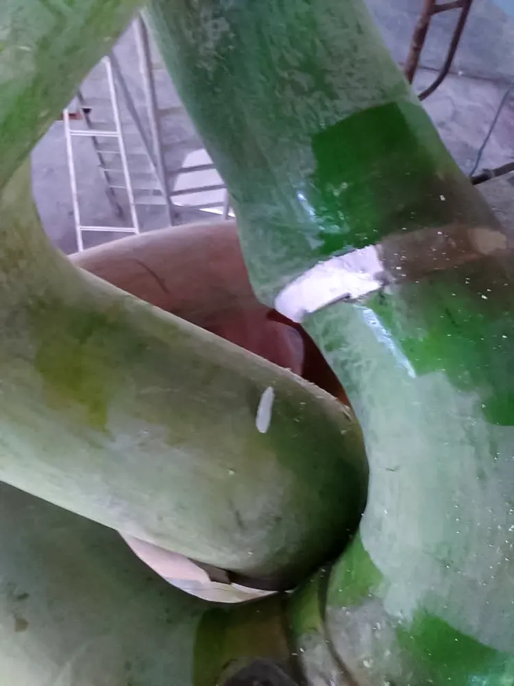 <span  class="uc_style_uc_tiles_grid_image_elementor_uc_items_attribute_title" style="color:#ffffff;">sutera-vine-006</span>